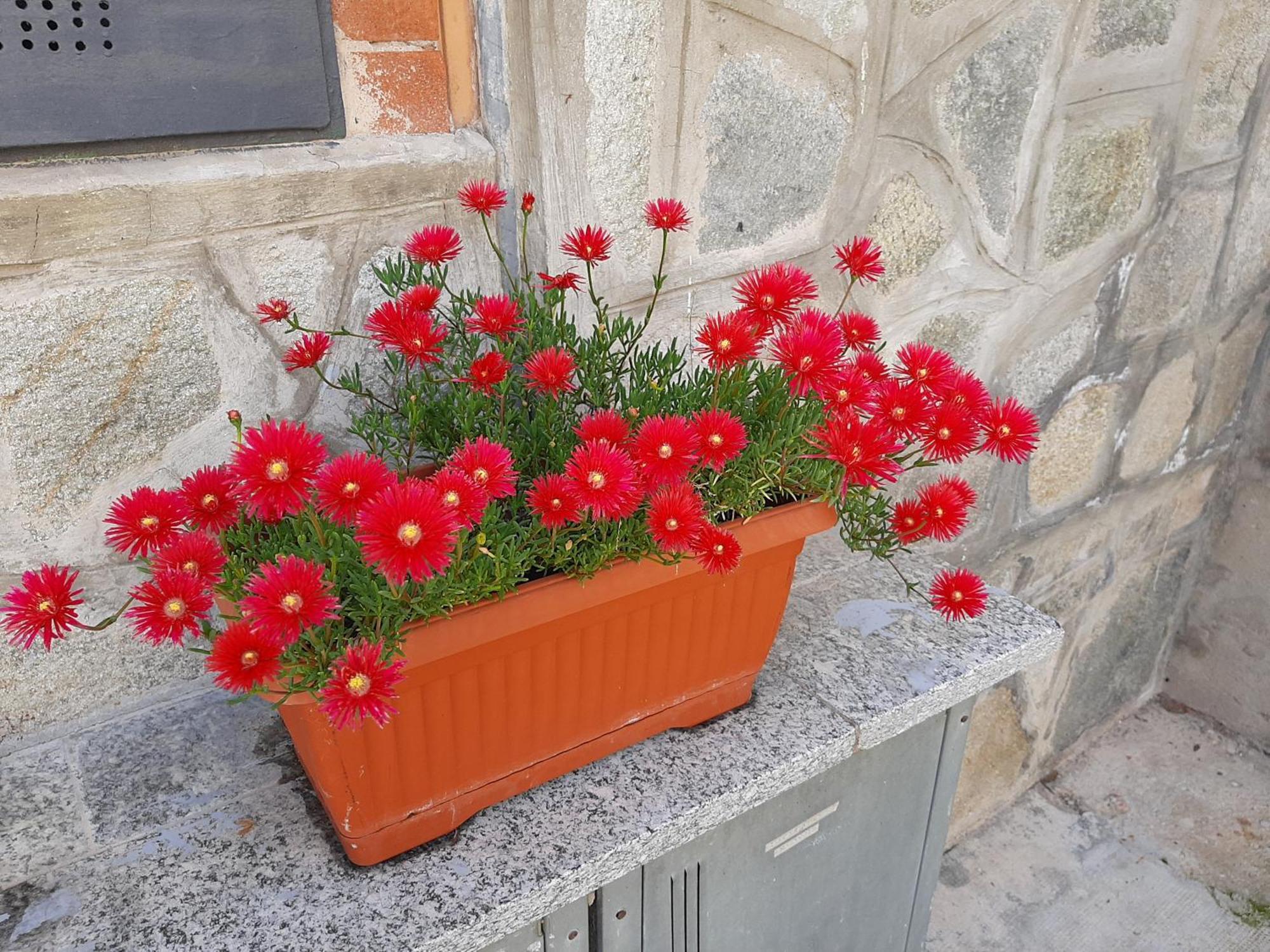 House Vittone Apartment Venaria Reale